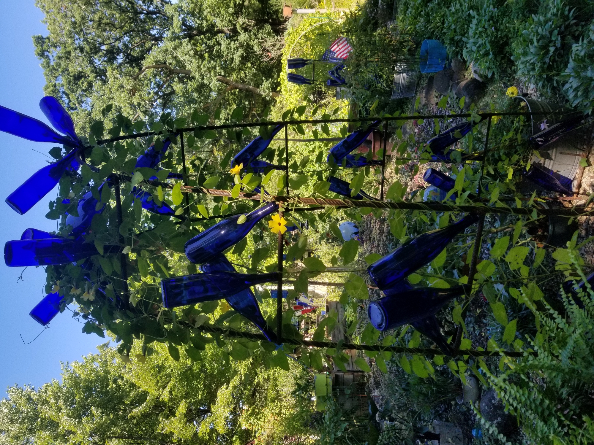 Crooked Bottle Trees