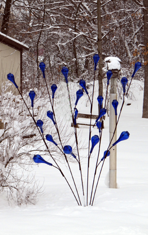 Bottle Tree: Did You Know?