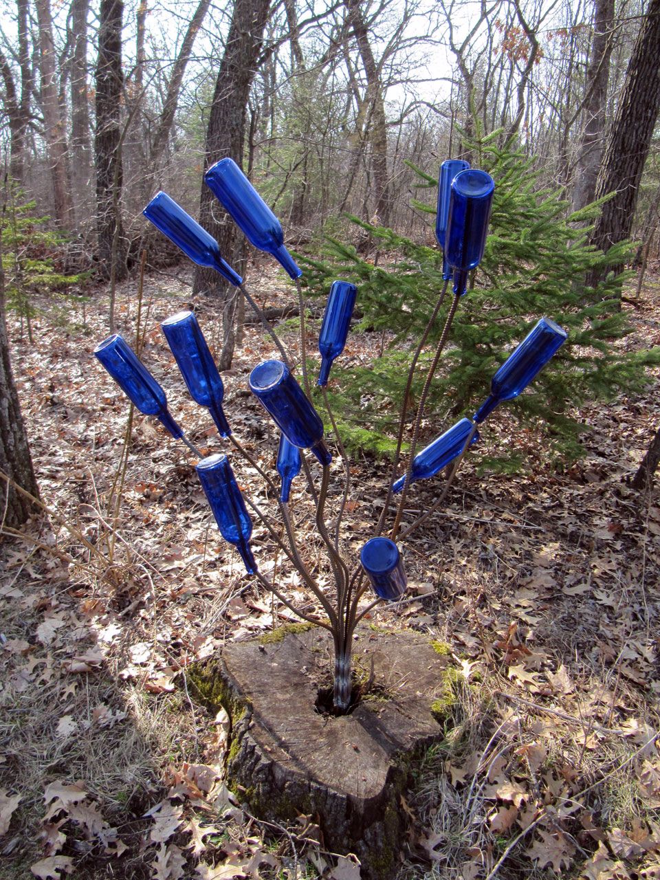 Crooked Bottle Trees